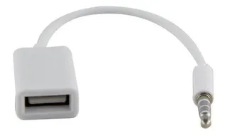 Cable Jack Mini Plug Auxiliar 3.5mm Usb Hembra